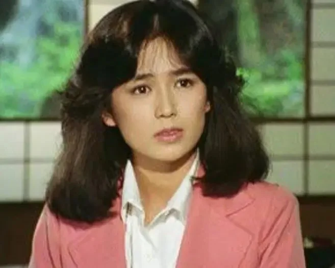 藤谷美和子の80年代のドラマ出演時