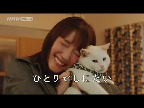 40歳でひとりでしにたいに出演した綾瀬はるか