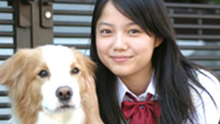 2005年『いぬのえいが』美香役の宮崎あおい